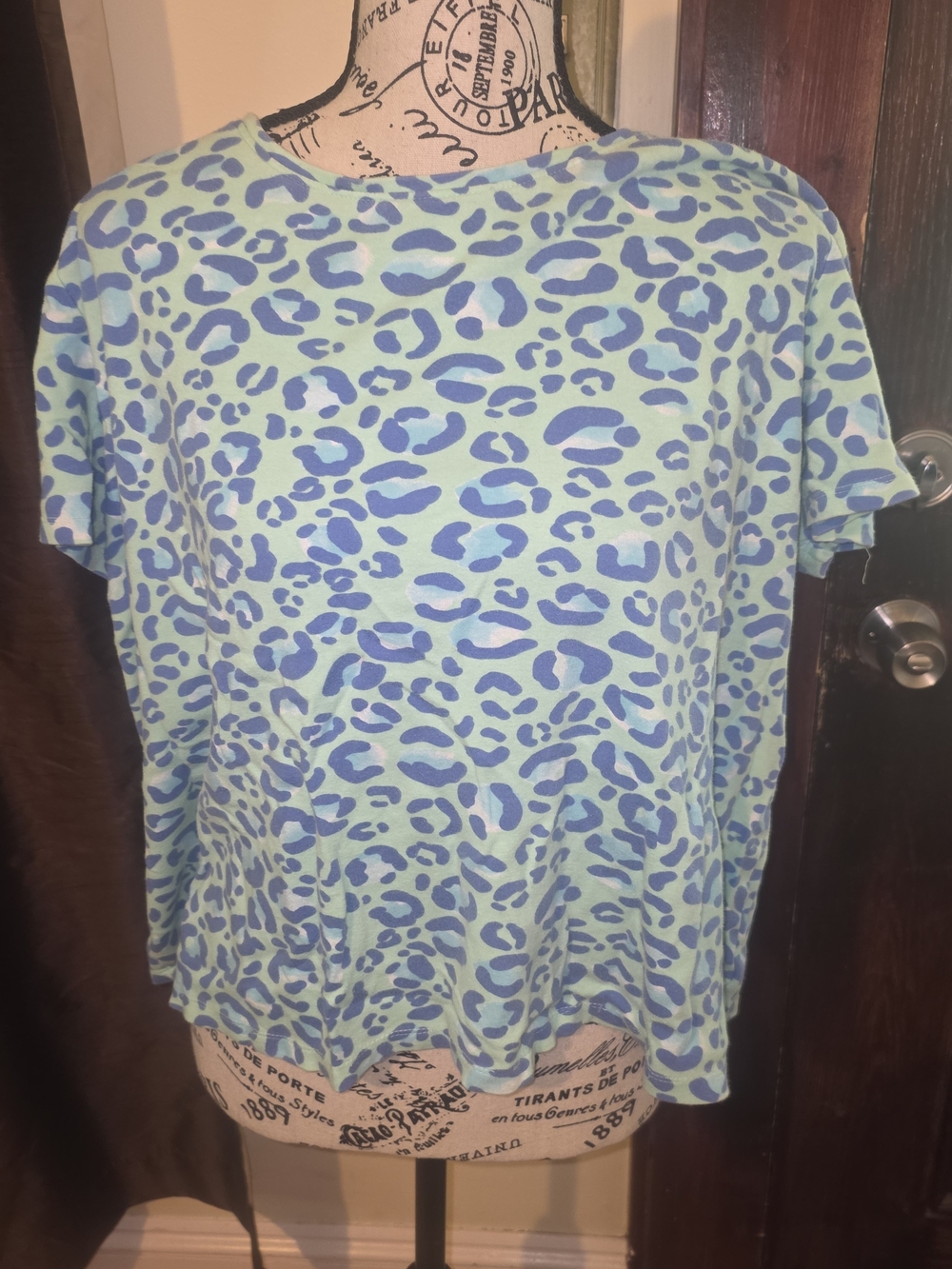 Kim Rogers Teal with Blue Leopard Print XL